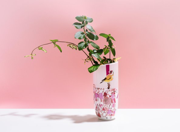 Header image