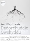 Agoriad Arddangosfa: Dadorchuddio Gwehyddu
