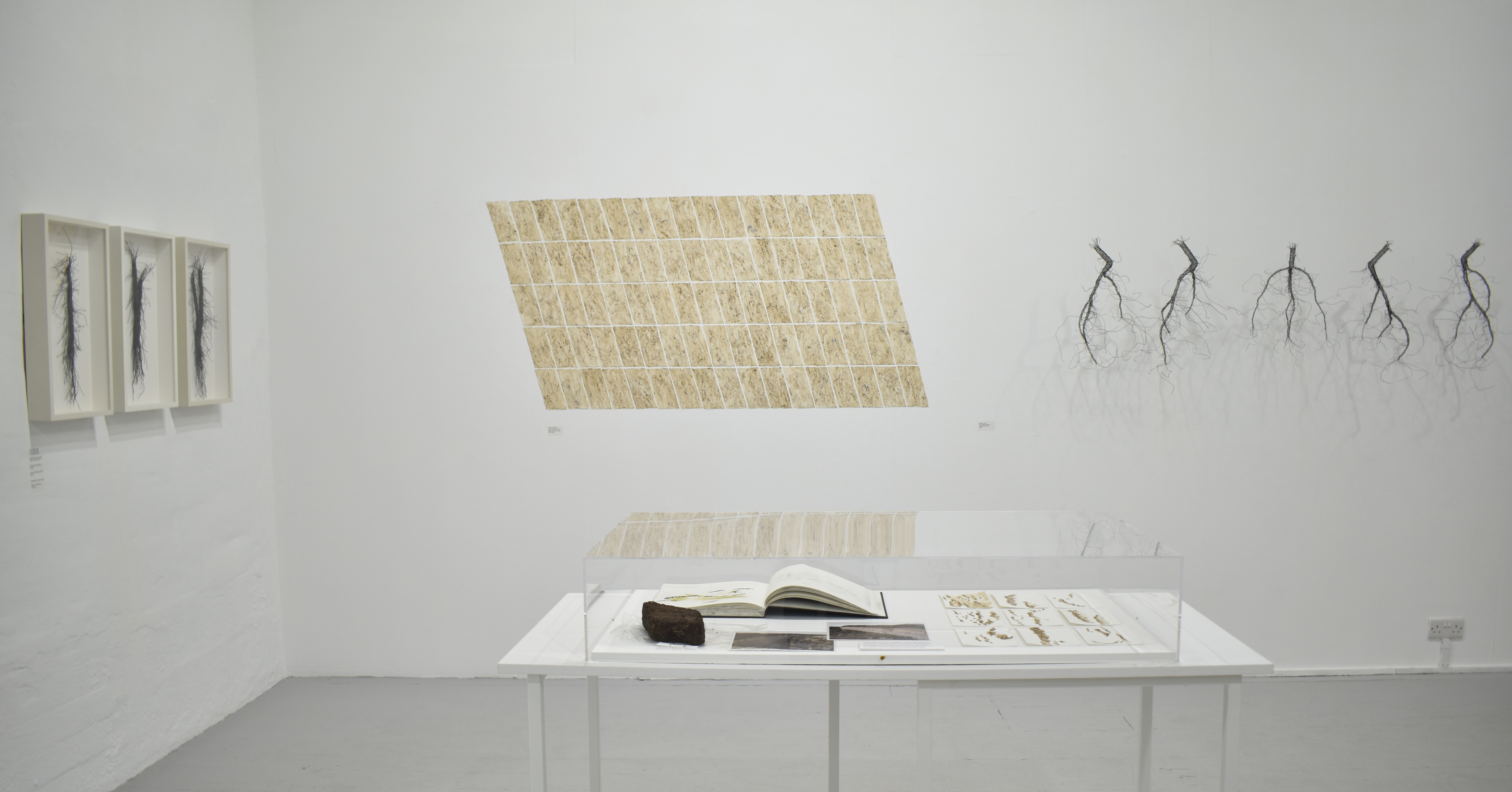 Sue Hiley Harris, Weaving Unearthed. Sue Hiley Harris, Weaving Unearthed.