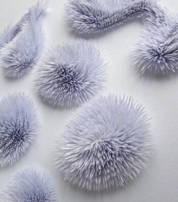 I'r stiwdio | Into the studio