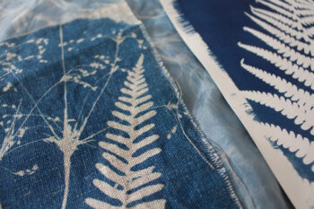 Paentio bywyd llonydd a chreu syanoteipiau o flodau’r gwanwyn