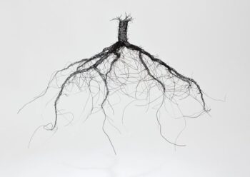 Dadorchuddio Gwehyddu